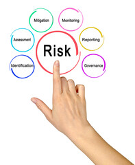 How to deal with risk