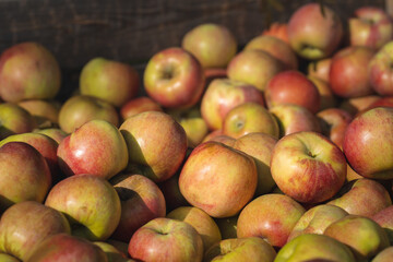 Apples in the market