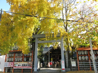 Fototapeta na wymiar イチョウの黄葉が美しい築地の波除神社