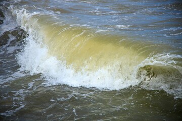 Closeup of a wave rolling and breaking into a dirty water with white foam