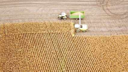 Maishäcksler und Traktor auf einem Feld bei der Erntearbeit, Landwirtschaft, Agrarpolitik, Lebensmittelerzeugung