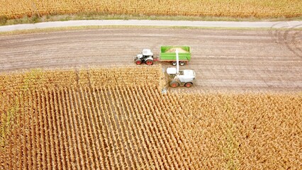 harvester and tractor in a field at harvest work, biomass, biogas, energy crop, agriculture,...