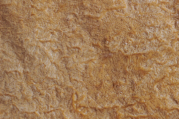 beige textured fur surface for background , for text