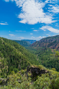 Vertical view of landscapes in Coconino National Forest, Arizona, USA