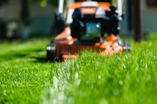 Lawn mover close up at fresh grass