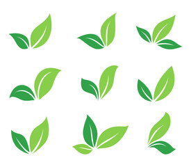 natural leaves and branch silhouettes set icons