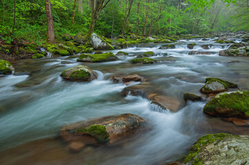 Obraz premium Spring landscape of Big Creek captured with motion blur, Great Smoky Mountains National Park, Tennessee, USA