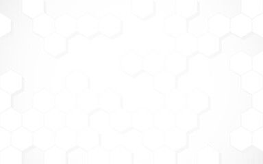Obraz na płótnie Canvas Hexagon background. Minimal white template. Neutral honeycomb texture with soft shadow. Smooth hexagon wallpaper. Clean website backdrop. Vector illustration