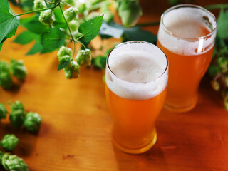 Two glasses of draft unfiltered hopped beer on a wooden table. Green Hop Cones