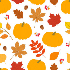 Seamless pattern fall vector illustration. Thanksgiving background