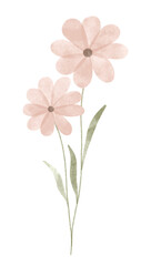 Watercolor trendy flower. Vector illustration for web, app and print. Elegant feminine shape floristic isolated daisies flowers. Garden, botanical, minimalistic floral element.