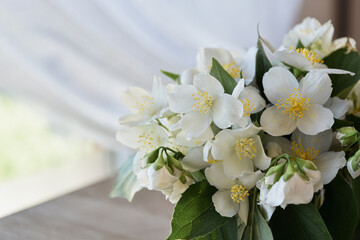 Jaśmin, wiosenne kwiaty. Jasmine, spring flowers.