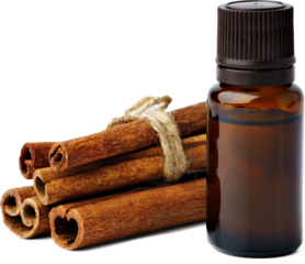 Aromatic cinnamon sticks and essential oil isolated on white background
