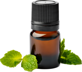 Bottle with essential oil and green leaf isolated on white background, close up