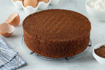 freshly baked chocolate sponge cake
