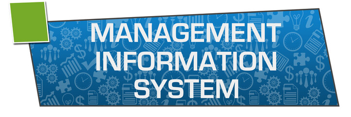 Management Information System Blue Business Element Green Left Side  © ileezhun