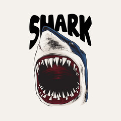 wild shark illustration with sharp teeth