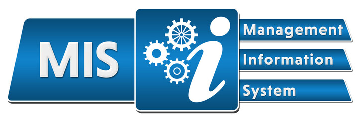 MIS - Management Information System Blue Rounded Squares Horizontal  © ileezhun