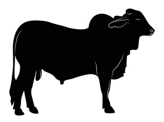 Cow set. Cow silhouette white isolated hand drawn vector illustration of cow silhouette.