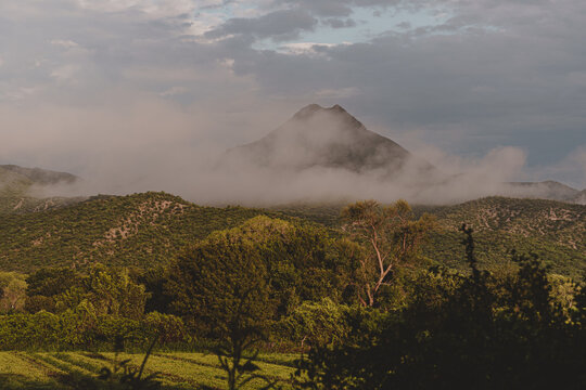 Cerro con neblina, monta&ntilde;a verde con neblina