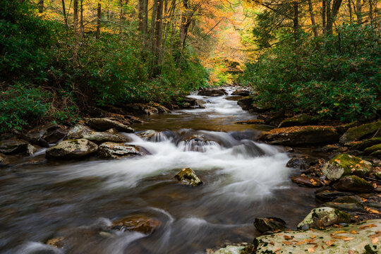 Autumn colored forest and cascading river scene with brook of water washing over rocks with yellow, orange and green fall colors