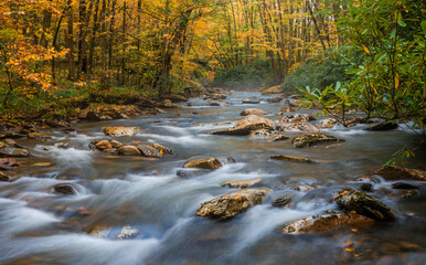Fall colored forest wilderness scene with cascading stream of water flowing over rocks with yellow...