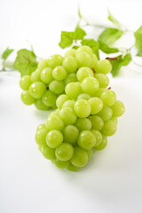 マスカット（葡萄）を白背景で