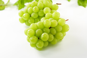 マスカット（葡萄）を白背景で