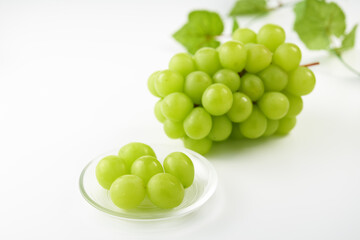 マスカット（葡萄）を白背景で