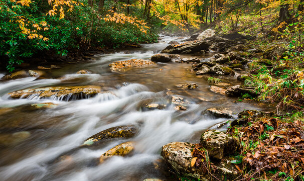 Autumn colored forest woodland scene with cascading creek streaming over rocks with yellow and green fall colors