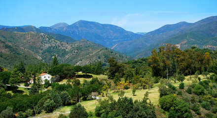 Fototapeta na wymiar Paisaje. Campo y montañas. Marbella, Málaga