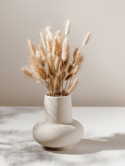 Aesthetic home home decoration vase with dry lagurus grass and shadows