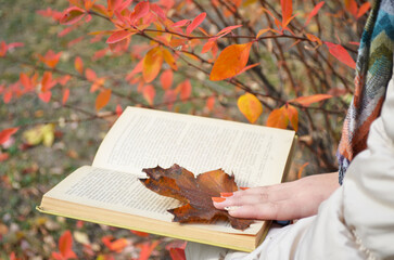 a girl reads a book on an autumn background, a yellow wedge lies on a book against the background of autumn leaves, autumn leaves, a book and a wedge, the fingers of the girl's hands lie on a book in 