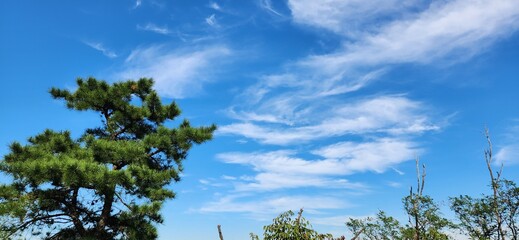 blue sky with white clouds