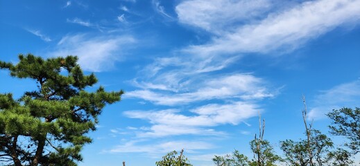 blue sky with white clouds