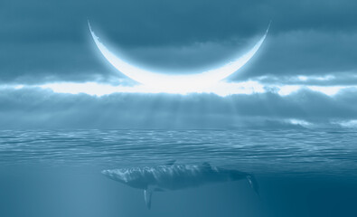 Crescent moon in the background of a whale floating above the clouds 