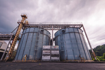 Obraz premium A tea factory in my hometown