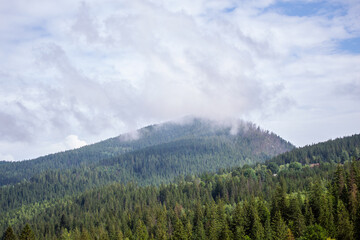 beautiful landscape of the carpathians