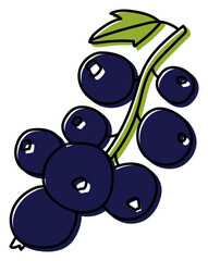 Black currant with leaves isolated. Berry sketch. Color food illustration