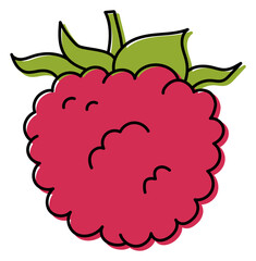 Raspberry berry sketch. Color food illustration