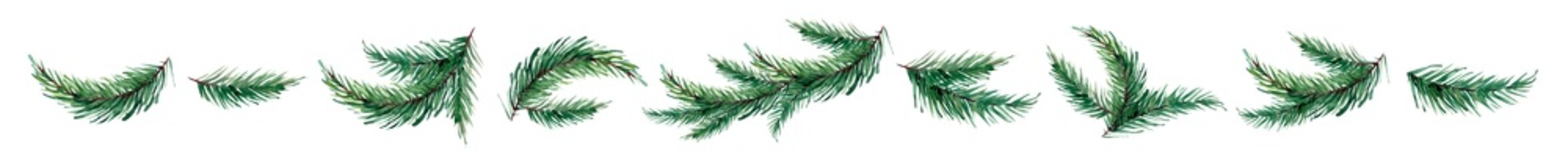 watercolor image of spruce branches isolated on a white background.