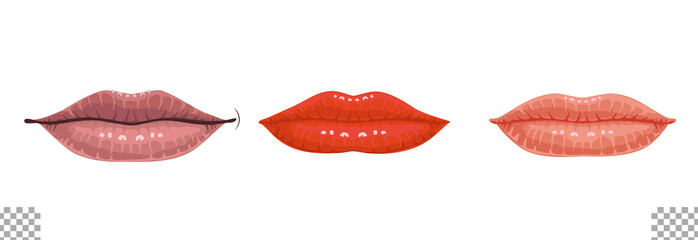Woman mouth illustration set transparent background solid color lipstick color closed mouth thin
