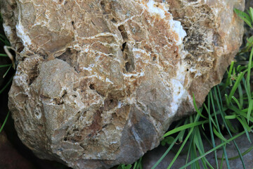 Inner layer texture of sedimentary rock. Stone background.