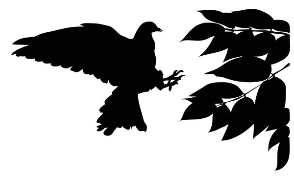 bird dove and branch with leaves silhouette