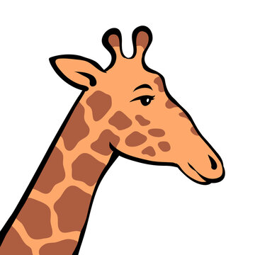 Cute giraffe on a white background. Head animal. African herbivore mammal. Zoo and safari. Cartoon vector isolated baby illustration. Hand drawn outline