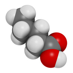 Valeric acid molecule. Smelly molecule, present in the plant valerian (Valeriana officinalis).