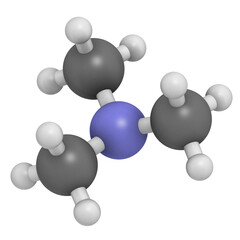 Trimethylamine volatile tertiary amine molecule. Important component of the smell of (rotting) fish.