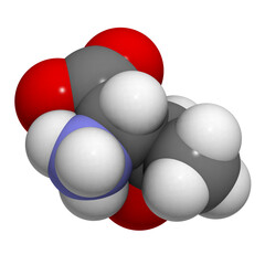 Threonine (Thr, T) amino acid, molecular model.