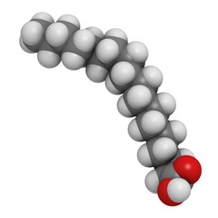 Stearic acid saturated fatty acid, molecular model