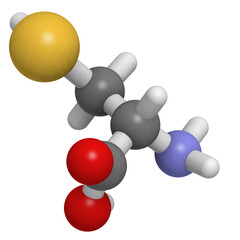 Selenocysteine (Sec, U) amino acid, molecular model. © molekuul.be